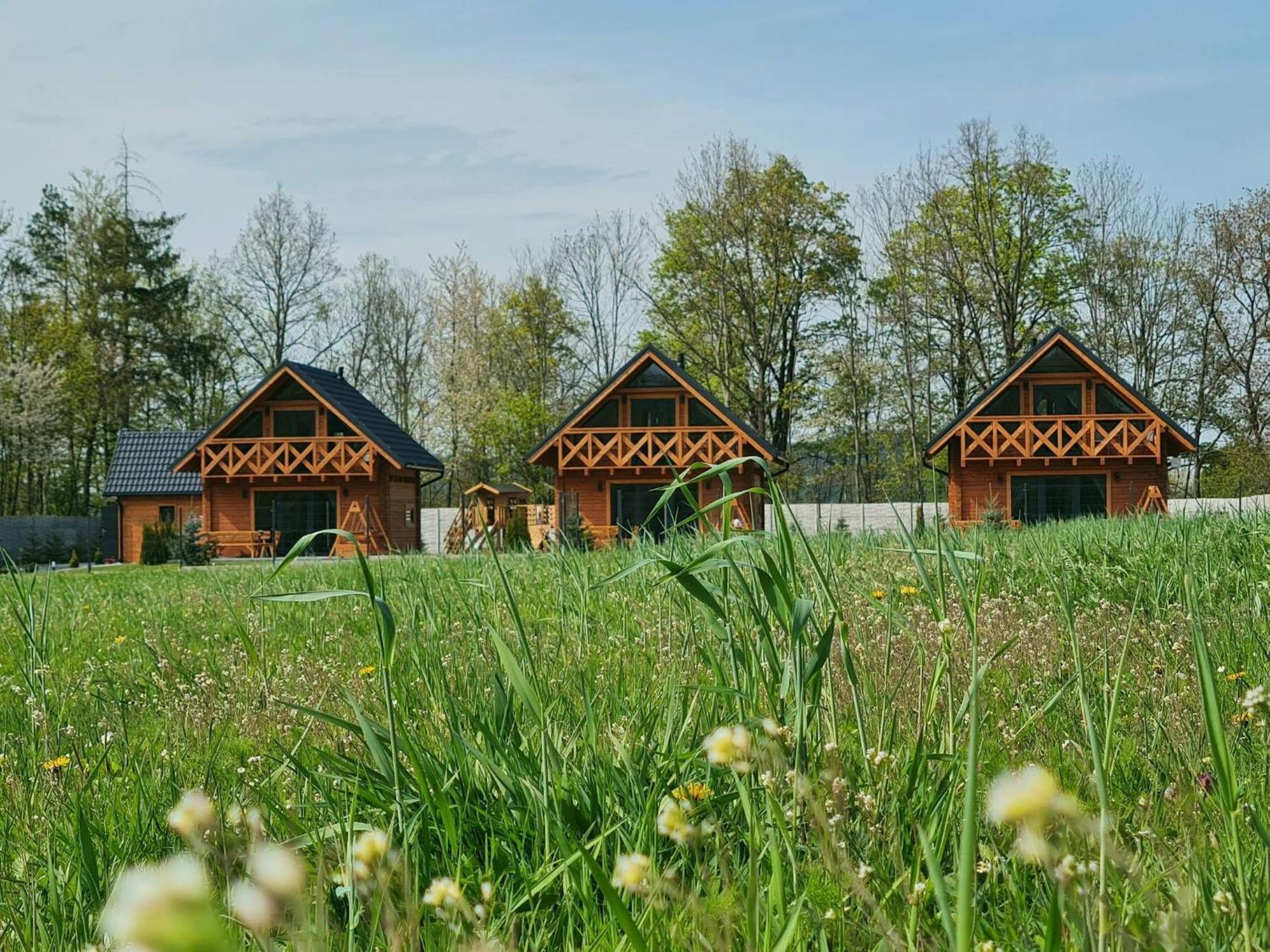 Sloneczne Domki Sudety - Domki Caloroczne Kotlina Klodzka Stary Waliszow Exterior photo